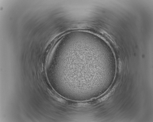 X0000078241449200611251227