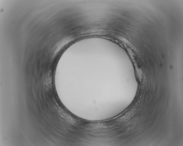 X0000078241450200611251227