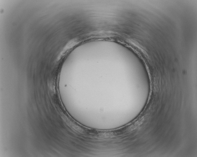 X0000078241451200611251227