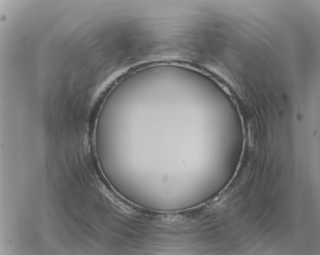 X0000078241452200611251227