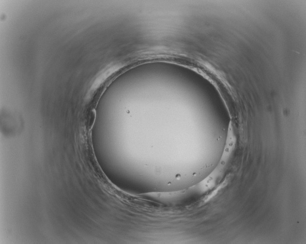 X0000078241453200611251227