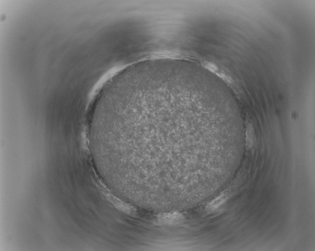 X0000078241454200611251227