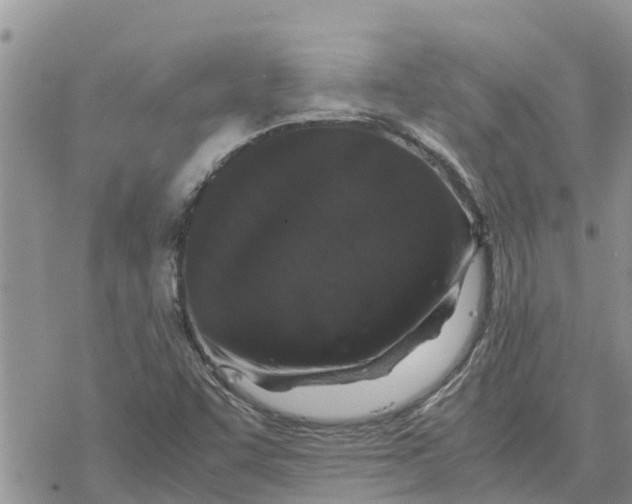 X0000078241455200611251227