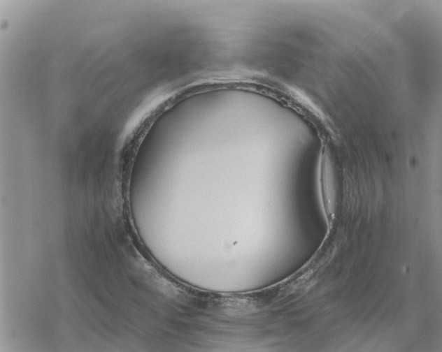 X0000078241456200611251227