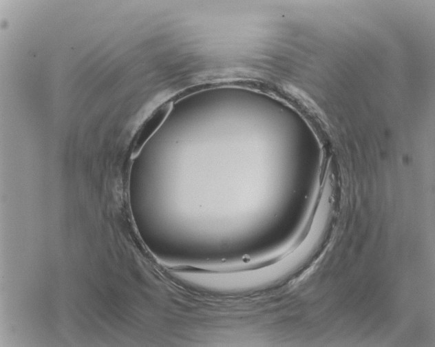 X0000078241457200611251227