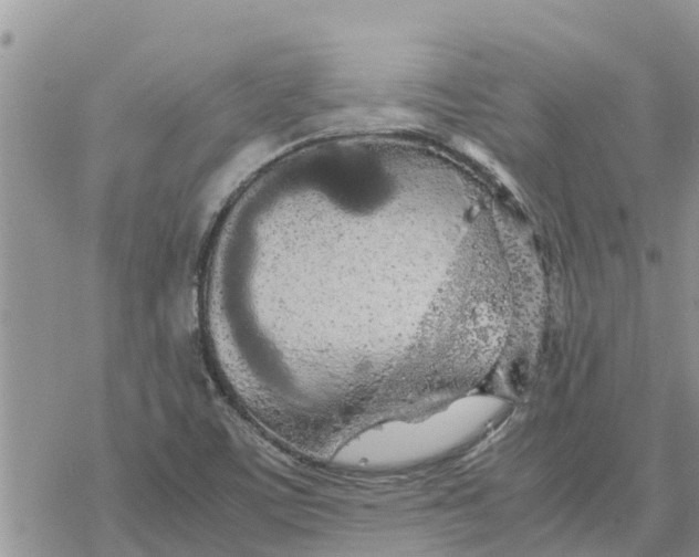 X0000078241459200611251227