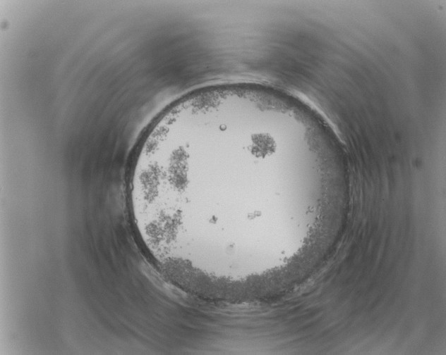 X0000078241460200611251227