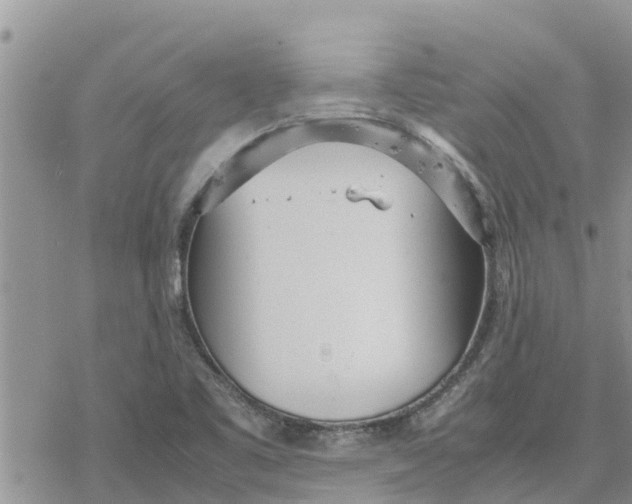 X0000078241461200611251227