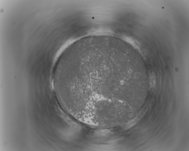 X0000078241462200611251227