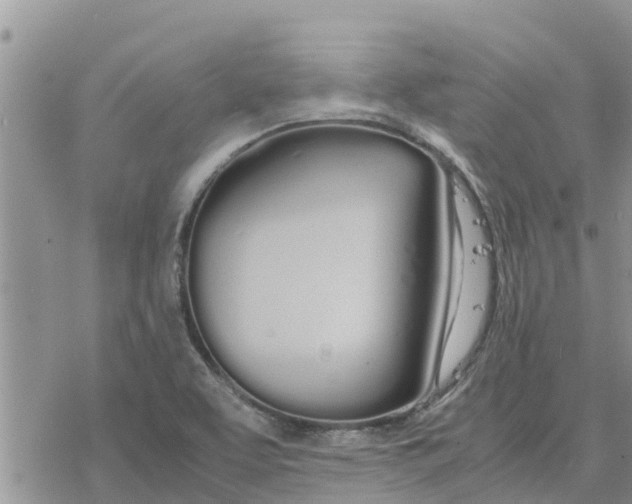 X0000078241463200611251227