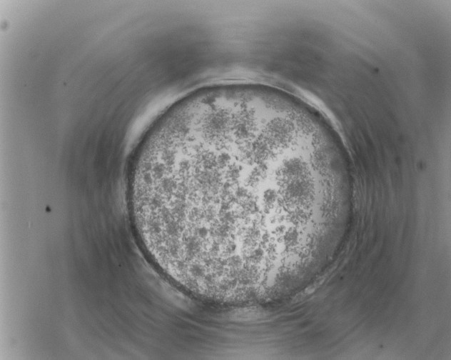 X0000078241464200611251227