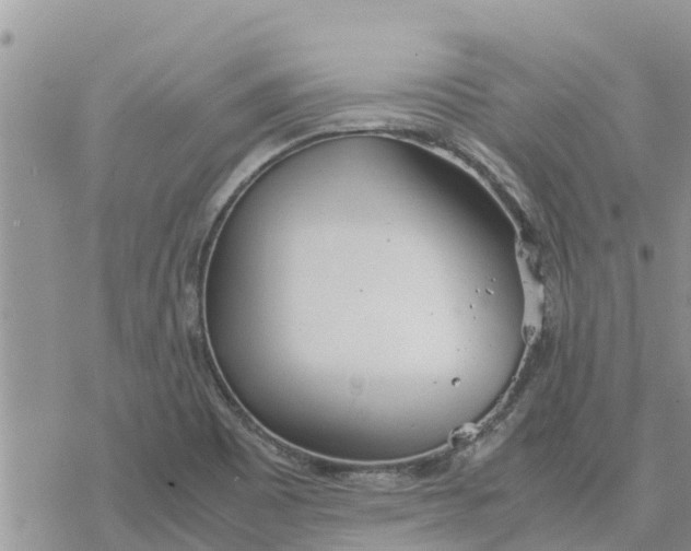 X0000078241465200611251227