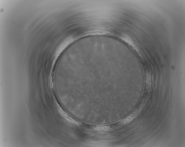 X0000078241466200611251227