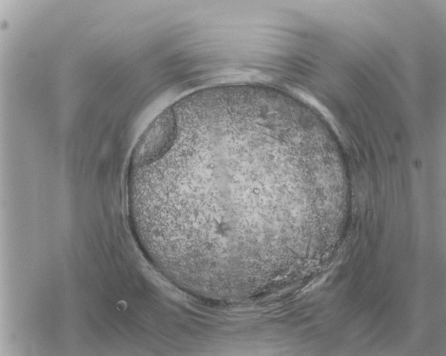 X0000078241467200611251227