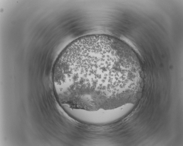 X0000078241468200611251227