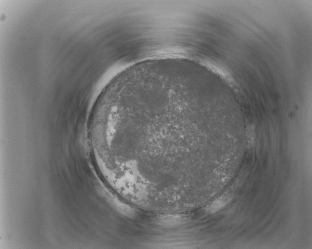 X0000078241470200611251227