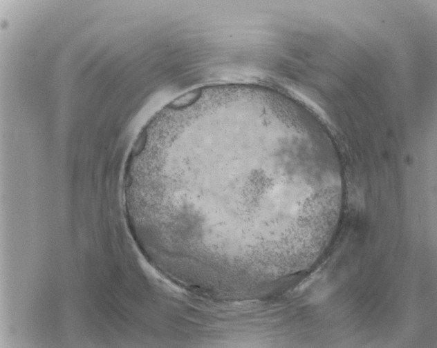 X0000078241471200611251227