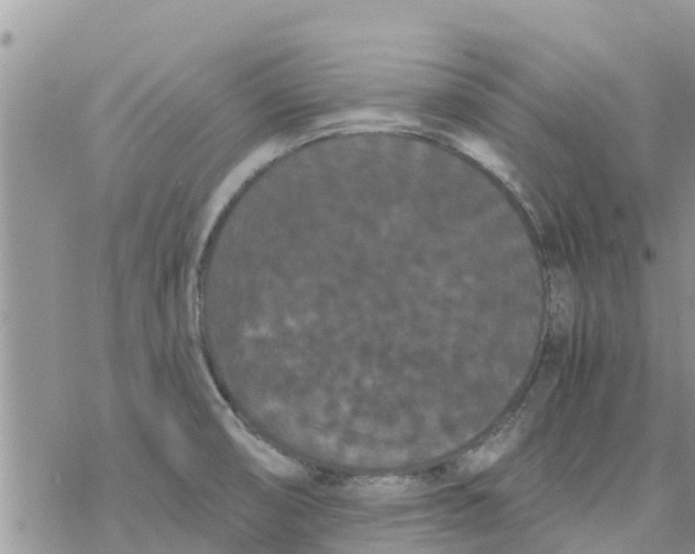 X0000078241474200611251226