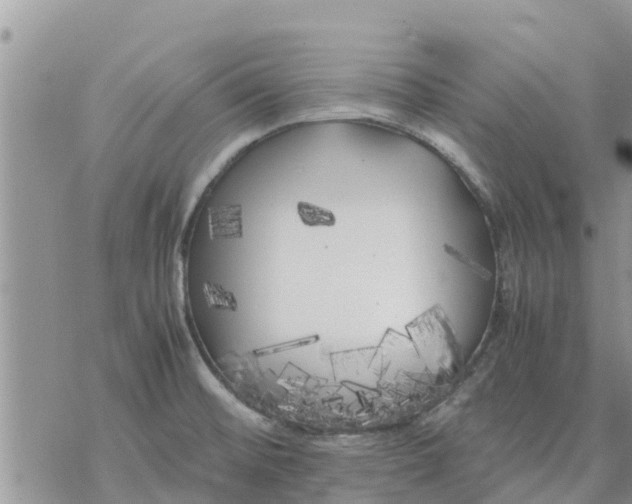 X0000078241476200611251226