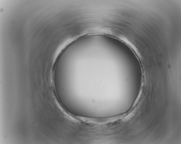 X0000078241477200611251226