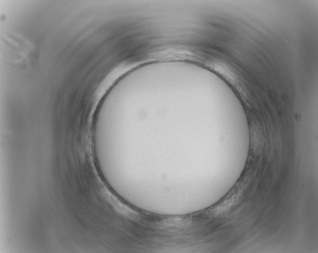 X0000078241478200611251226