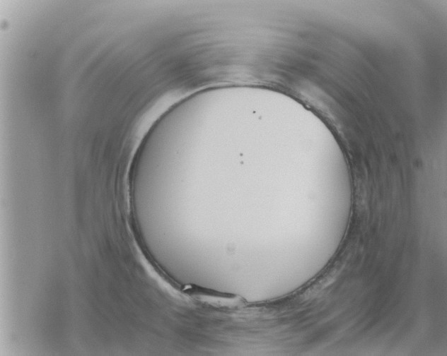 X0000078241479200611251226