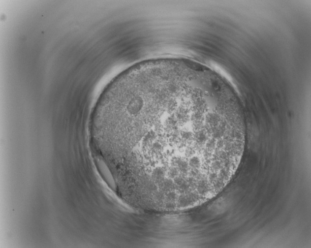 X0000078241480200611251226