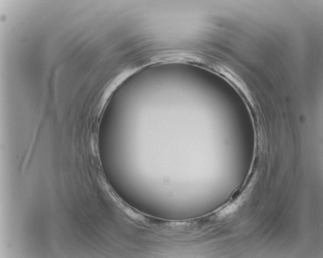 X0000078241481200611251226