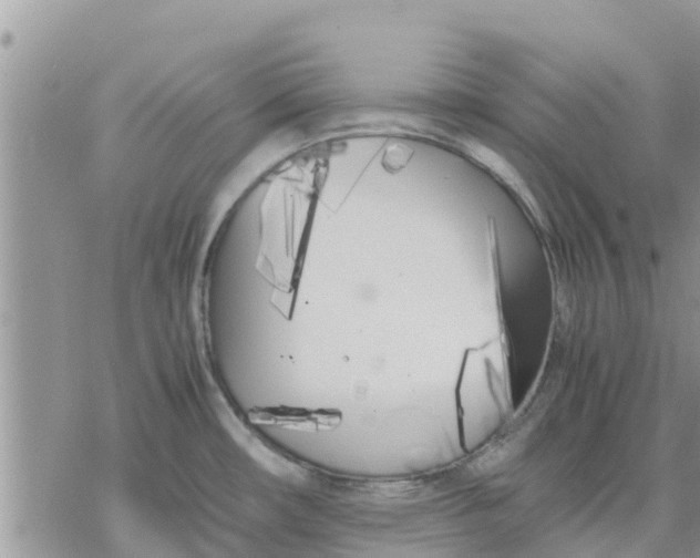 X0000078241482200611251226