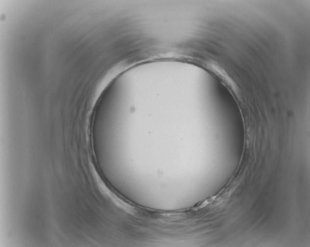 X0000078241483200611251226