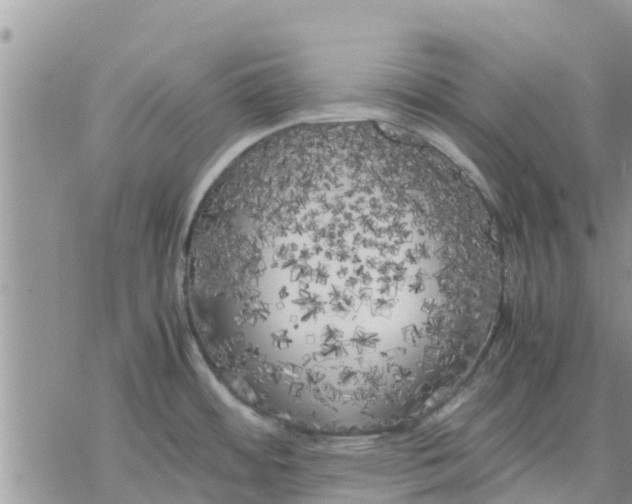 X0000078241484200611251226