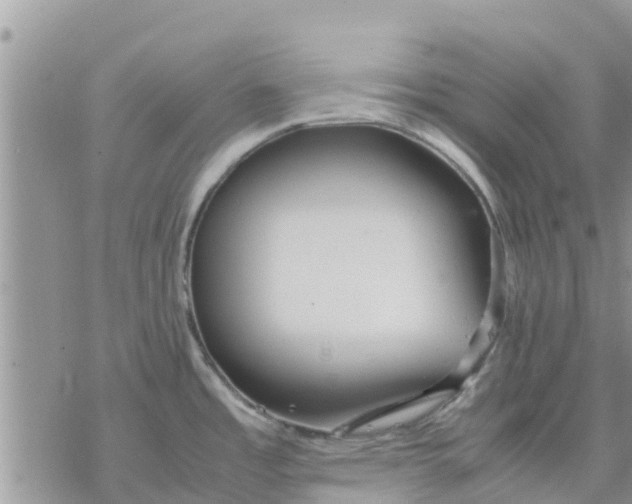 X0000078241485200611251226