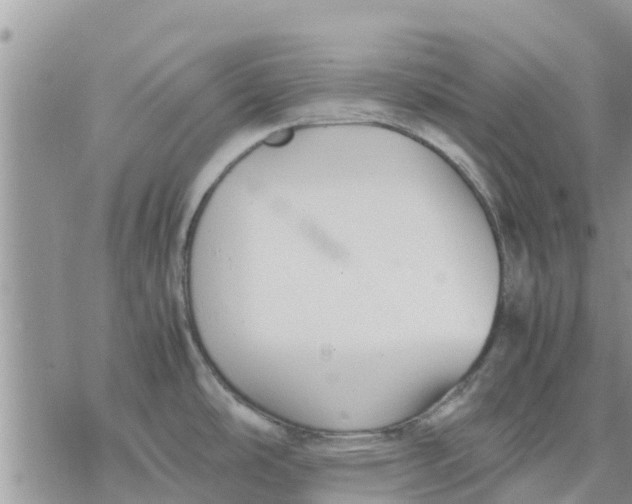 X0000078241486200611251226