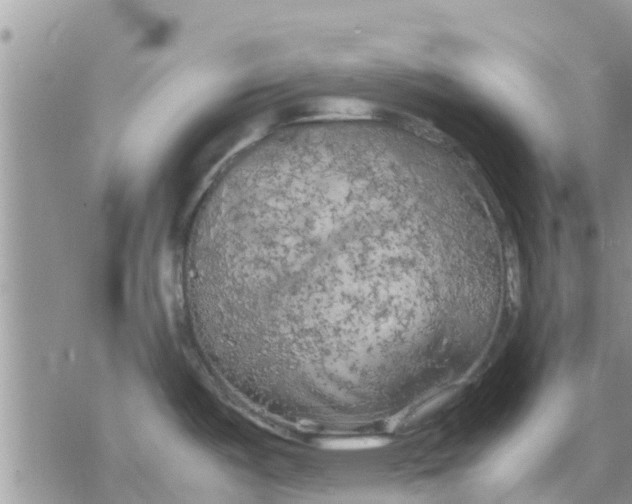 X0000078241487200611251226