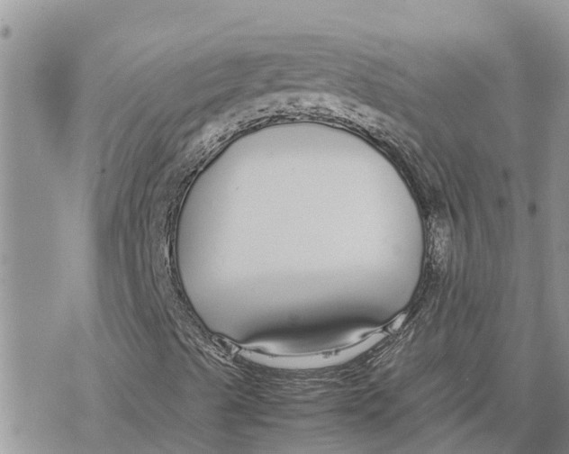 X0000078241489200611251225