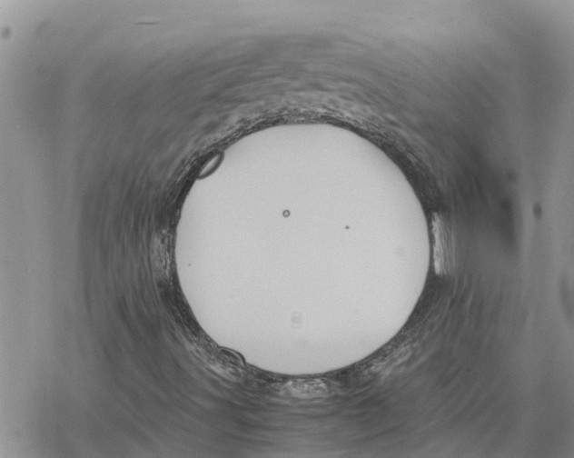 X0000078241491200611251225