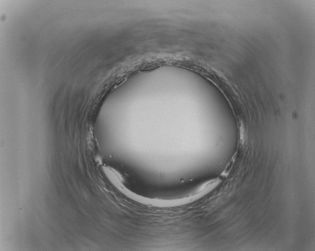 X0000078241492200611251226