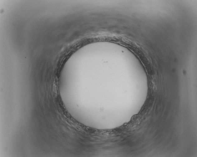 X0000078241493200611251226