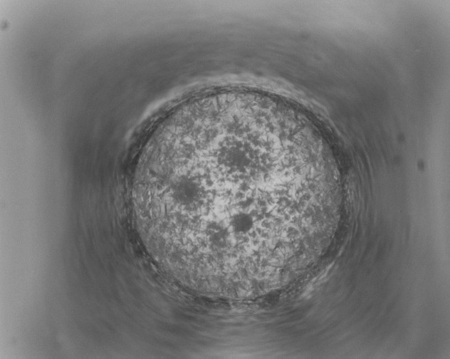 X0000078241494200611251226