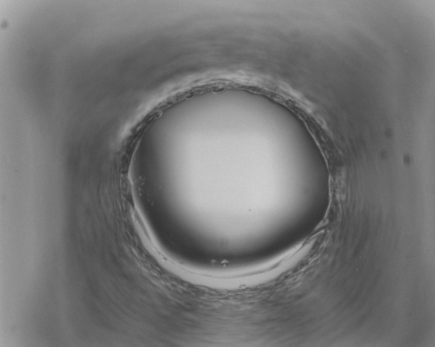 X0000078241496200611251226