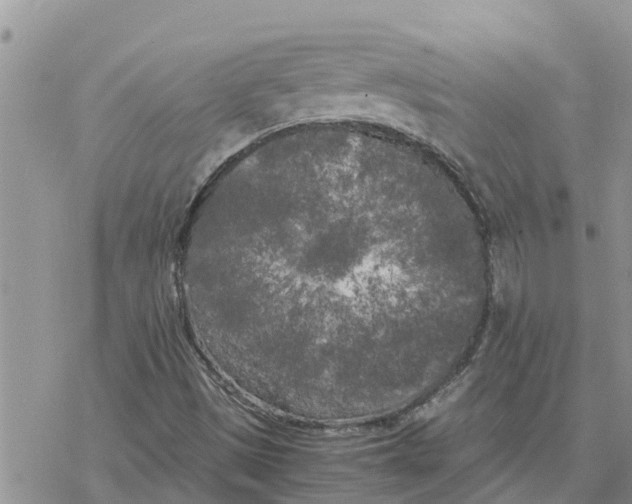 X0000078241497200611251226