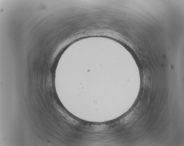 X0000078241498200611251226