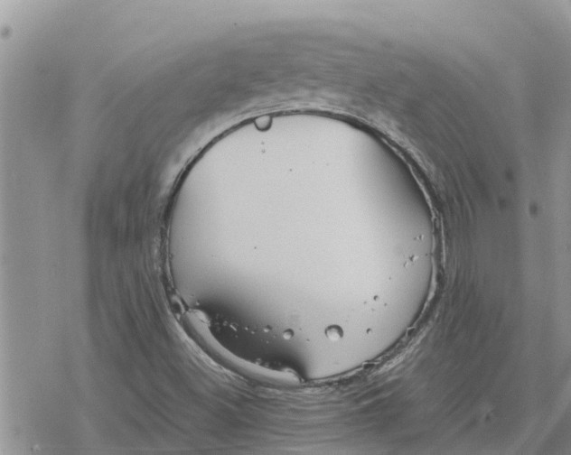 X0000078241500200611251226