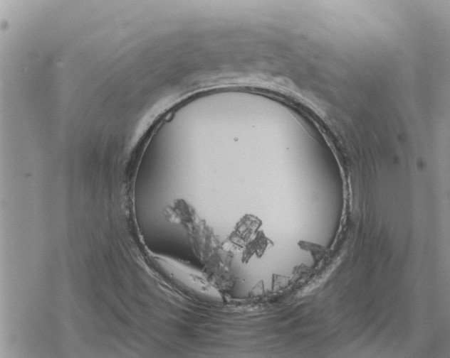 X0000078241501200611251226