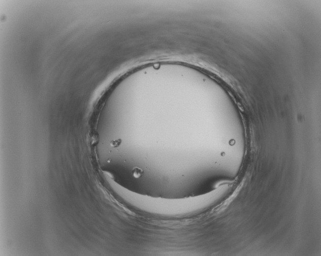 X0000078241502200611251226