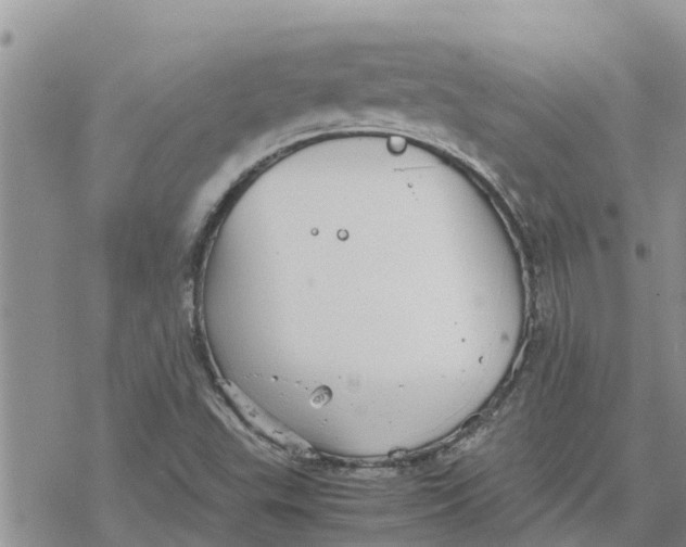 X0000078241503200611251226