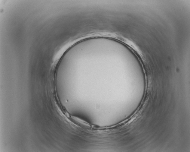 X0000078241504200611251226