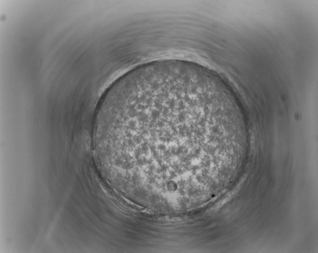 X0000078241505200611251226