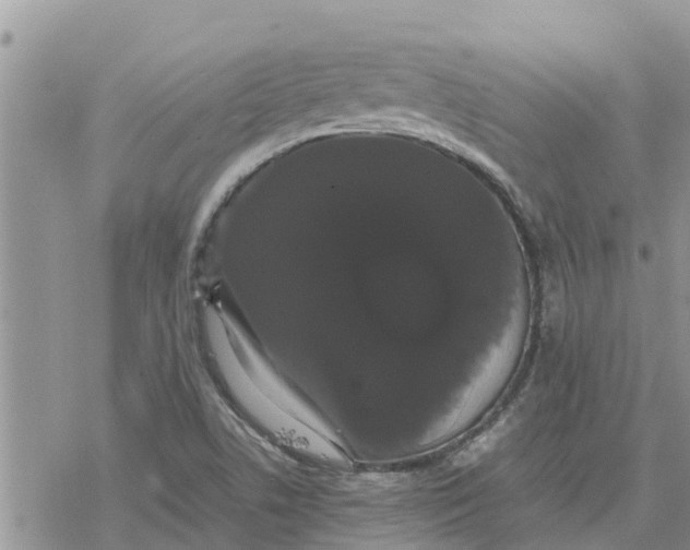 X0000078241506200611251226