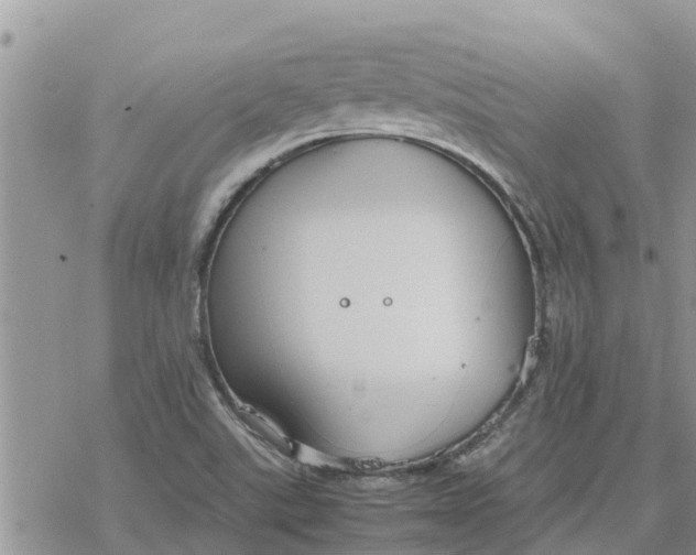 X0000078241507200611251226